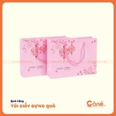 [TG011] Túi Giấy