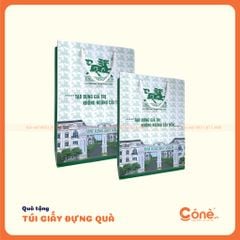 [TG009] Túi Giấy