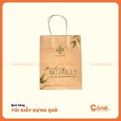 [TG008] Túi Giấy