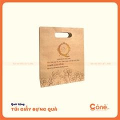 [TG007] Túi Giấy