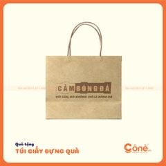 [TG004] Túi Giấy