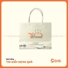 [TG006] Túi Giấy