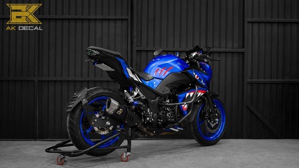 Kawasaki Z300