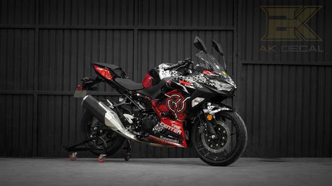  Tem xe Kawasaki Ninja 400 - 005 
