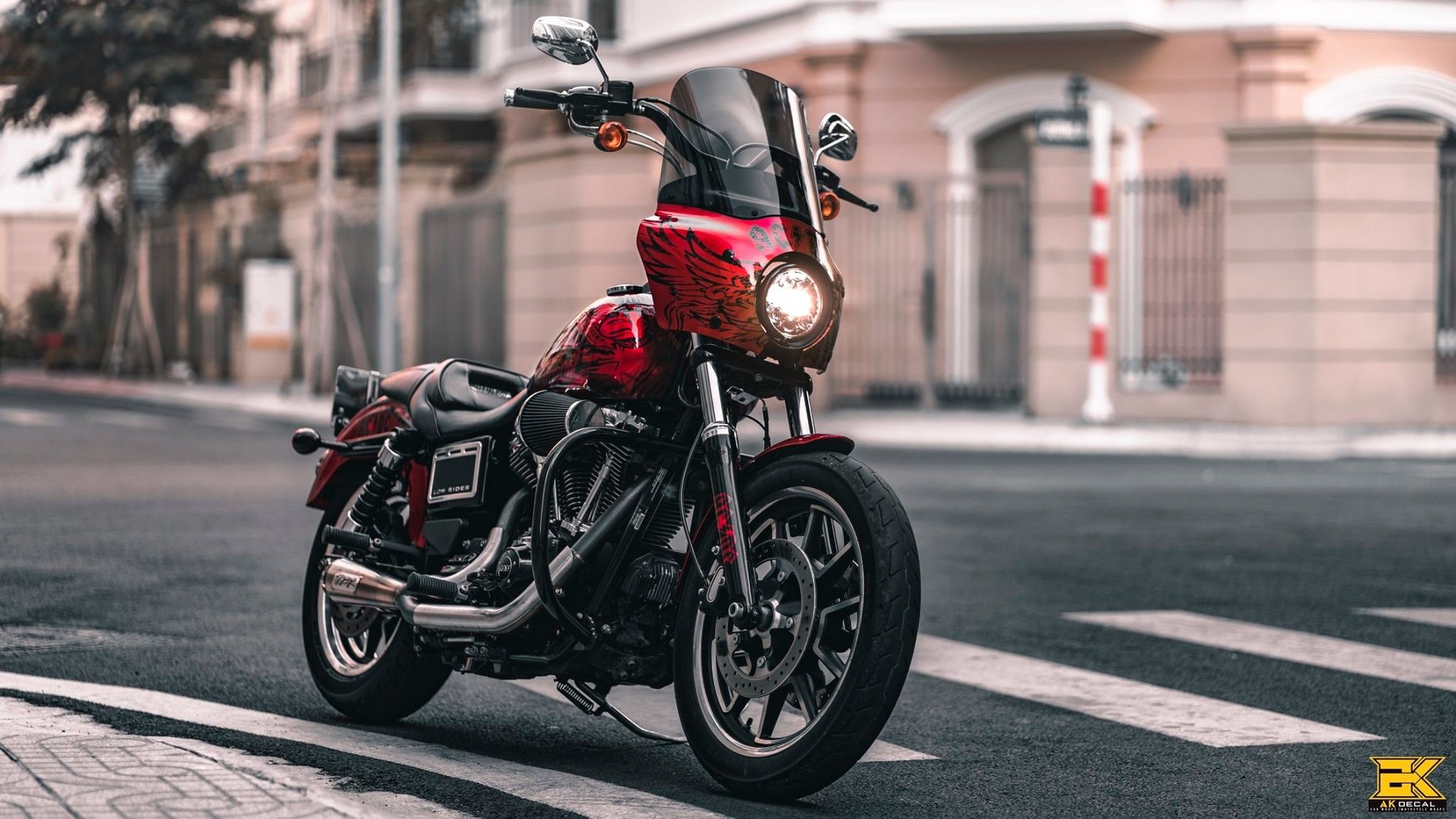  Tem xe Harley Davidson Dyna Low Rider - 001 
