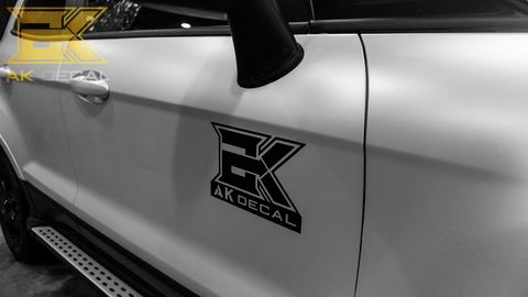  Tem xe Ford EcoSport - 001 