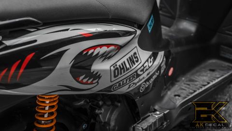  Tem xe Honda Dylan - 002 