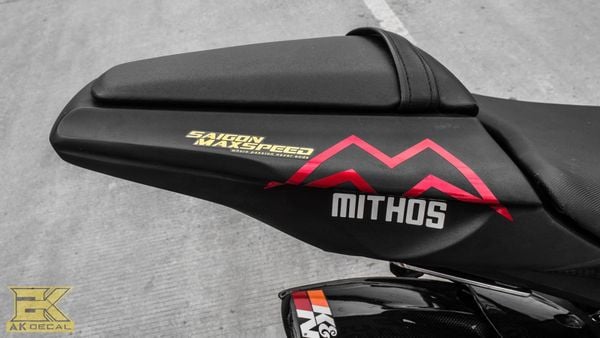 tem Kawasaki ZX10R