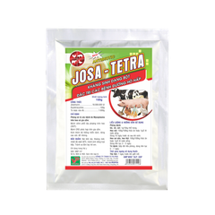 Josa – Tetra