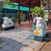 Bán Tượng Tỳ Hưu Đá Phong Thủy Để Cổng Đẹp Giá Xưởng