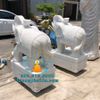 Chế Tác Tượng Voi Đá Cẩm Thạch Trắng Để Cổng Đẹp