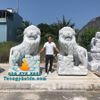 Bán Tượng Sư Tử Đá Phong Thủy Trấn Cổng Số 1 Đà Nẵng