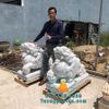 Chuyên Tượng Tỳ Hưu Đá Phong Thủy Đẹp Nhất Tại Đà Nẵng