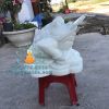 Cóc Ba Chân Bằng Đá Non Nước