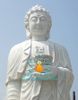 Cung Cấp Tượng Phật Adida Đá Trắng Đẹp Hàng Đầu Đà Nẵng