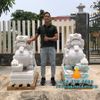 Cung Cấp Tượng Tỳ Hưu Đá Phong Thủy Trấn Cổng Đẹp
