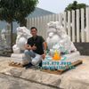 Cung Cấp Tượng Tỳ Hưu Đá Phong Thủy Trấn Cổng Đẹp