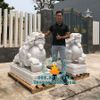 Cung Cấp Tượng Tỳ Hưu Đá Phong Thủy Trấn Cổng Đẹp