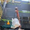 Điêu Khắc Tượng Voi Đá Phong Thủy Trấn Cổng Nhà - Công Ty