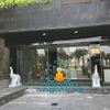 Điêu Khắc Tượng Voi Đá Phong Thủy Trấn Cổng Nhà - Công Ty
