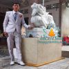 Tỳ Hưu Bằng Đá Phong Thủy Đẹp
