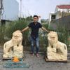 Mẫu Tượng Sư Tử Đá Cẩm Thạch Vàng Đẹp Nhất Hiện Nay