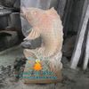 Tượng Cá Chép Đá Vàng Phong Thủy Phun Nước Đẹp Tại Hải Phòng