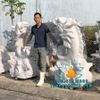 Cung Cấp Tượng Cá Chép Hóa Rồng Đá Phong Thủy Phun Nước Đẹp Tại Nghệ An