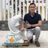 Tượng Cá Chép Đá Phong Thủy Phun Nước Để Hồ Koi Đẹp