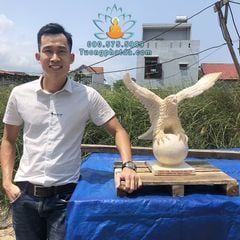 Cung Cấp Tượng Đại Bàng Đứng Bi Cầu Phong Thủy Đá Cẩm Thạch Vàng Đẹp