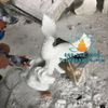 Tượng Đại Bàng Tung Cánh Đá Đẹp Tại Quảng Ninh