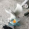 Tượng Đại Bàng Tung Cánh Đá Đẹp Tại Quảng Ninh