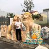 Bán Tượng Sư Tử Đá Cẩm Thạch Vàng Carốt Cao 2m