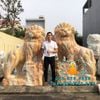 Bán Tượng Sư Tử Đá Cẩm Thạch Vàng Carốt Cao 2m