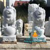 Bán Cung Cấp Tượng Sư Tử Đứng Bằng Đá Trắng Non Nước Cao 1m5