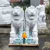 Chuyên Tượng Sư Tử Ngồi Đá Trắng Non Nước Đà Nẵng Cao 1m