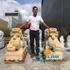 Mẫu Tượng Tỳ Hưu Đá Vàng Phong Thủy Đẹp Nhất Tại Nha Trang