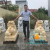 Mẫu Tượng Tỳ Hưu Đá Vàng Phong Thủy Đẹp Tại Vĩnh Long