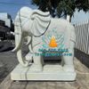 Bán Tượng Voi Bằng Đá Khủng Cao 2m2 Tại Thanh Hóa