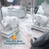 Tượng Voi Đá Phong Thủy Đẹp Tại Hồ Chí Minh