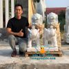 Mẫu Tượng Voi Đá Phong Thủy Đẹp Tại Vũng Tàu
