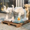 Mẫu Tượng Voi Đá Phong Thủy Đẹp Tại Vũng Tàu