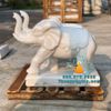 Tượng Voi Đá Phong Thủy Đẹp Tại Vũng Tàu