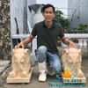 Tượng Voi Đá Vàng Phong Thủy Đẹp Tại Bình Dương