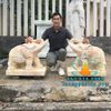 Cung Cấp Tượng Voi Đá Vàng Phong Thủy Đẹp Tại Hà Nội