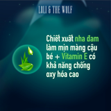  Dung dịch vệ sinh nam thành phần tự nhiên, làm sạch, khử mùi hôi, giảm viêm ngứa vùng kín - LOLI & THE WOLF Dạng Gel và Bọt 