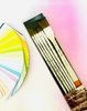 Cọ bộ SUNWAY  6 cây thân bạc lông tổng hợp B304-6 cây