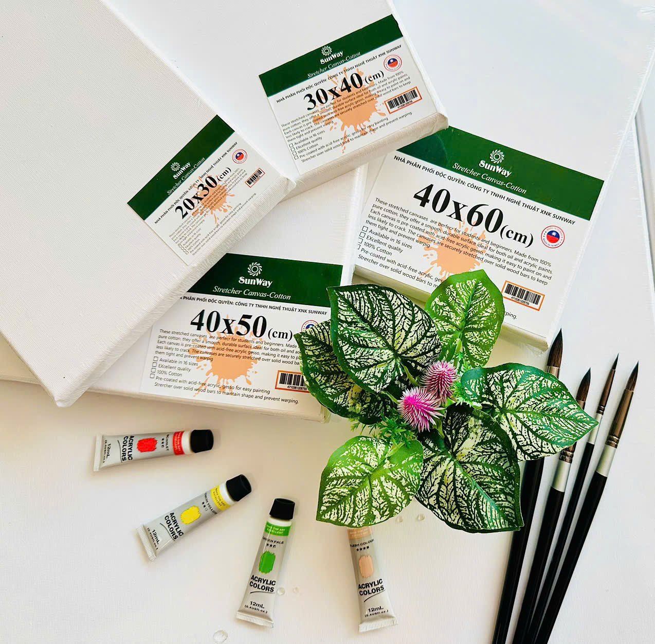 Toan canvas SUNWAY hình chữ nhật và hình vuông