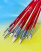 Cọ SUNWAY cán đỏ lông lợn cao cấp B330FS