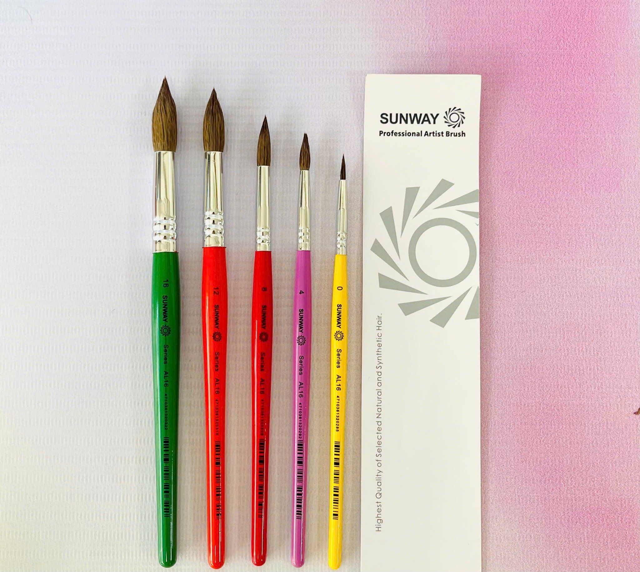 Cọ bộ SUNWAY 5 cây lông dê cao cấp Al16